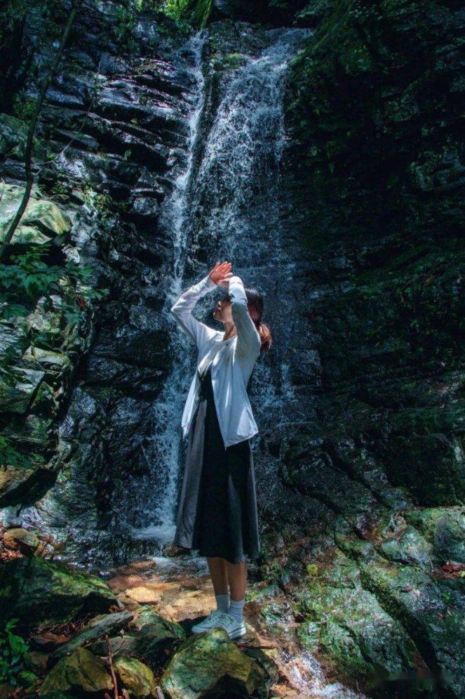 春雨直播app