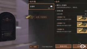 创作猫